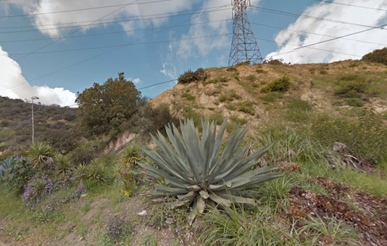 Los Angeles Firefighters Quickly Extinguish Runyon Canyon Brush Fire