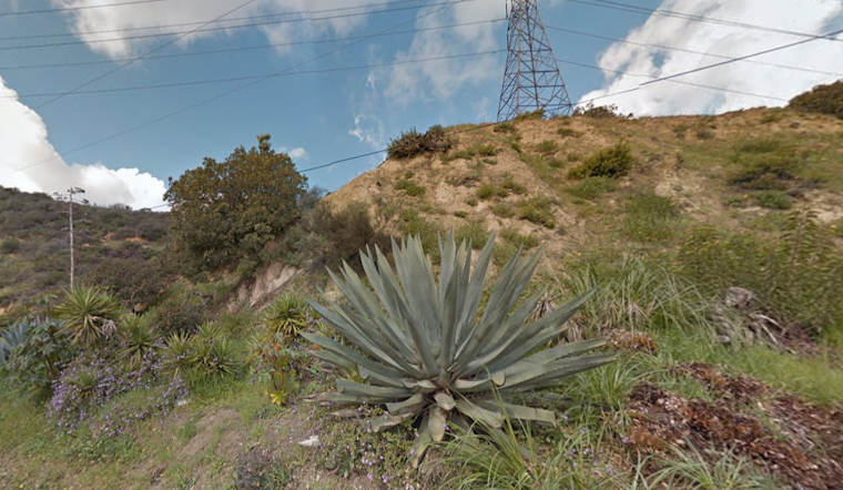 Los Angeles Firefighters Quickly Extinguish Runyon Canyon Brush Fire