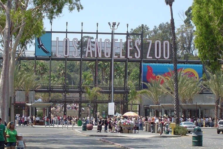 Los Angeles Zoo Admission Fees to Increase as City Council Approves $5 Hike Effective Tuesday
