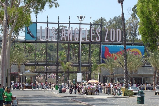 Los Angeles Zoo Admission Fees to Increase as City Council Approves $5 Hike Effective Tuesday