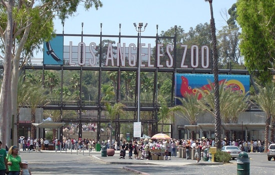 Los Angeles Zoo Admission Fees to Increase as City Council Approves $5 Hike Effective Tuesday