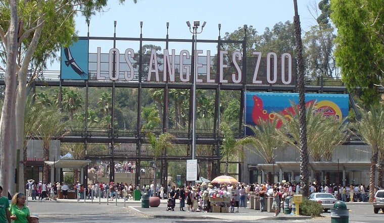 Los Angeles Zoo Admission Fees to Increase as City Council Approves $5 Hike Effective Tuesday