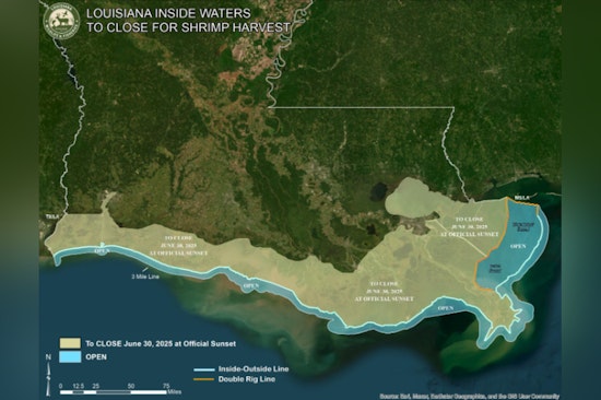Louisiana's Spring Inshore Shrimp Season to Close on June 30, Sustainable Measures Enforced