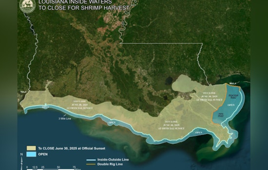 Louisiana's Spring Inshore Shrimp Season to Close on June 30, Sustainable Measures Enforced