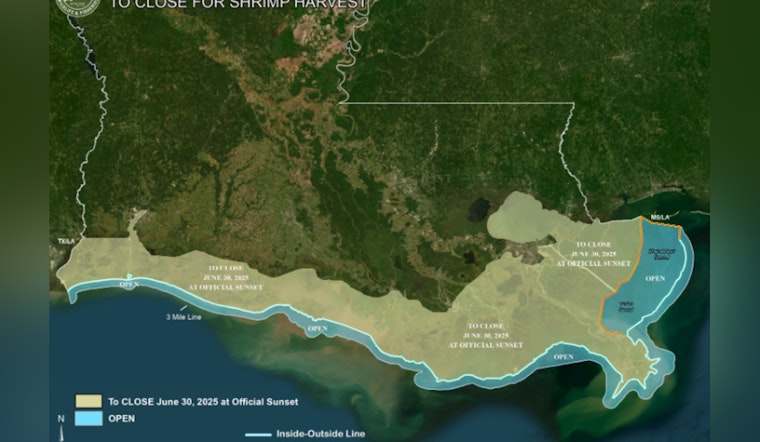Louisiana's Spring Inshore Shrimp Season to Close on June 30, Sustainable Measures Enforced