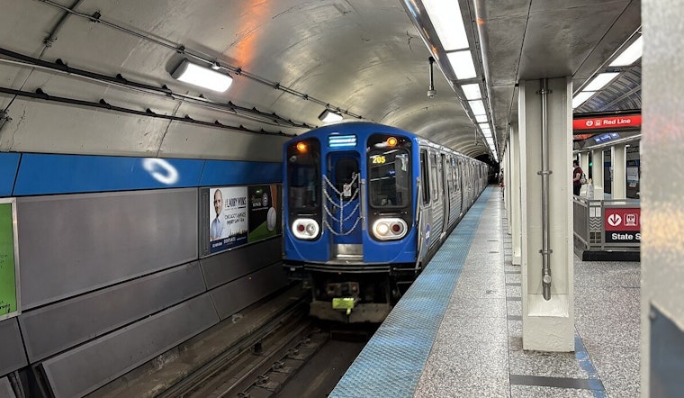 Man Fatally Stabbed on Chicago's Blue Line Train Near Rosemont Station, Suspect in Custody