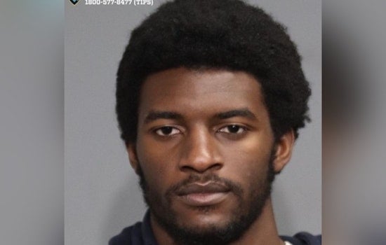 Campus Protester Turned Arsonist Destroys 11 NYPD Cars in $800K Brooklyn Blaze