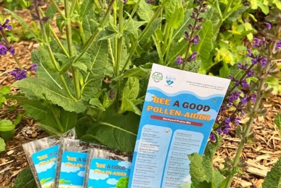 Mankato Encourages Greener Community with Free Wildflower Seeds at "Bee a Good Pollen-Aider" Workshop