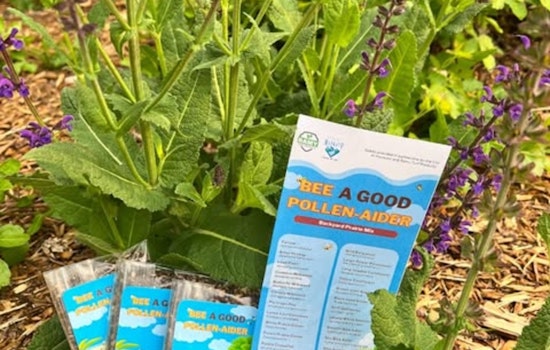 Mankato Encourages Greener Community with Free Wildflower Seeds at "Bee a Good Pollen-Aider" Workshop