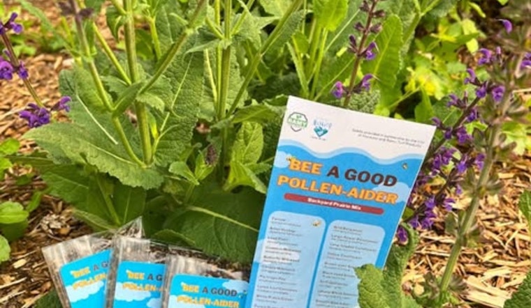 Mankato Encourages Greener Community with Free Wildflower Seeds at "Bee a Good Pollen-Aider" Workshop