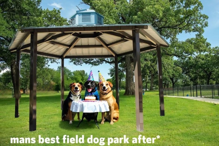 Mans Best Field Dog Park in Mansfield, Texas Set for Exciting Upgrades Including Night Lights and Splash Pond