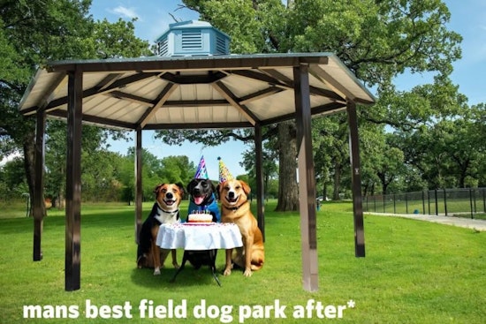 Mans Best Field Dog Park in Mansfield, Texas Set for Exciting Upgrades Including Night Lights and Splash Pond