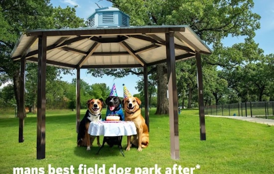 Mans Best Field Dog Park in Mansfield, Texas Set for Exciting Upgrades Including Night Lights and Splash Pond