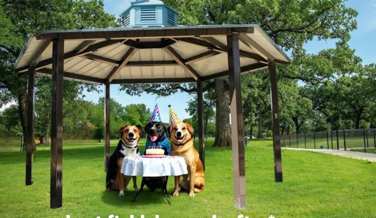 Mans Best Field Dog Park in Mansfield, Texas Set for Exciting Upgrades Including Night Lights and Splash Pond