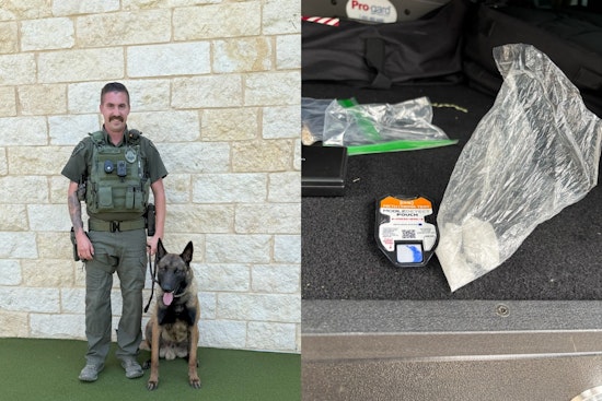 Mansfield Police Department Hails New K9 Jax as an Asset for Local Safety and Narcotics Operations