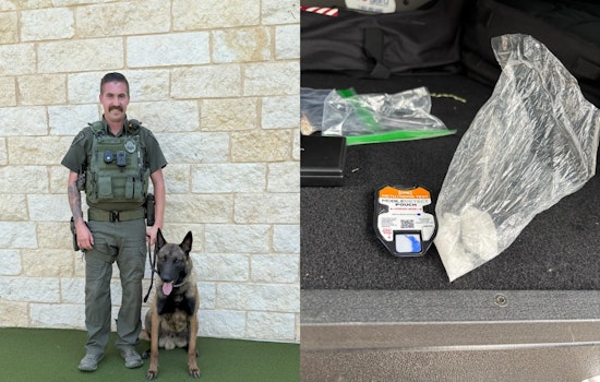 Mansfield Police Department Hails New K9 Jax as an Asset for Local Safety and Narcotics Operations