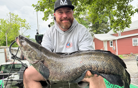 Maryland Angler Matt Foreman Reels in Record-Breaking 21.8-Pound Northern Snakehead on Susquehanna River