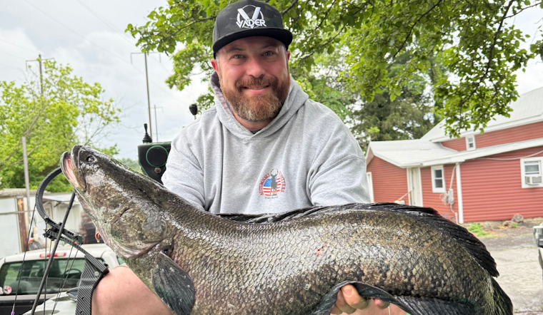 Maryland Angler Matt Foreman Reels in Record-Breaking 21.8-Pound Northern Snakehead on Susquehanna River