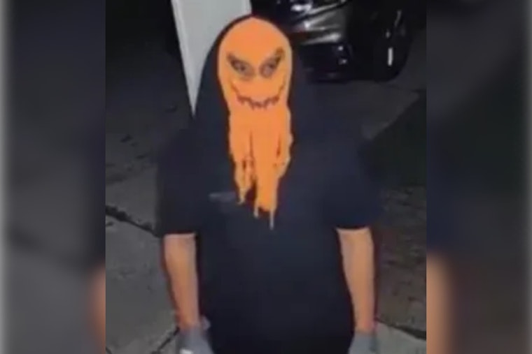 Masked Individual Suspected of Harassing Family in Dearborn Heights, Police Seek Public's Help