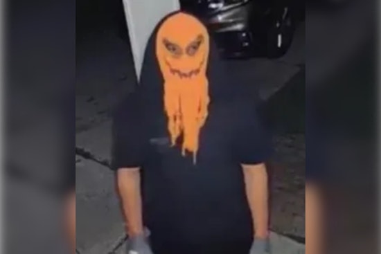 Masked Individual Suspected of Harassing Family in Dearborn Heights, Police Seek Public's Help