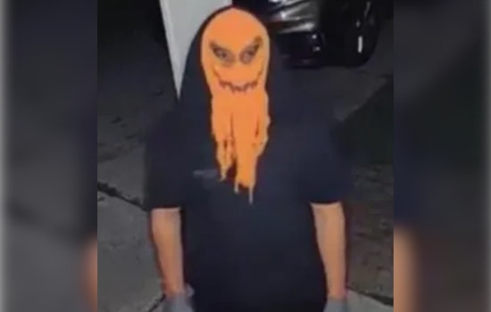 Masked Individual Suspected of Harassing Family in Dearborn Heights, Police Seek Public's Help