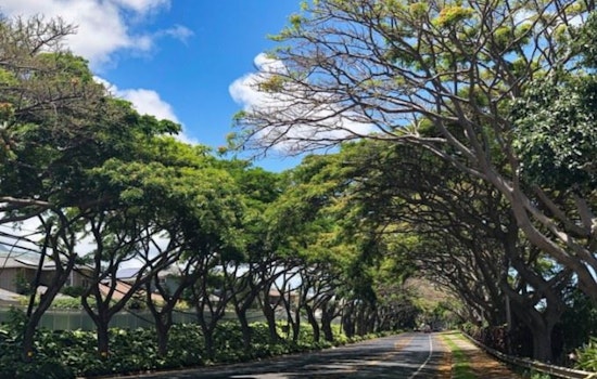 Maui Invites Public Input on Urban Forest Management Strategy for Greener Cities