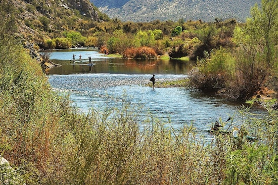 MCSO Stresses Caution on Salt River Amid Summer Fun in Arizona