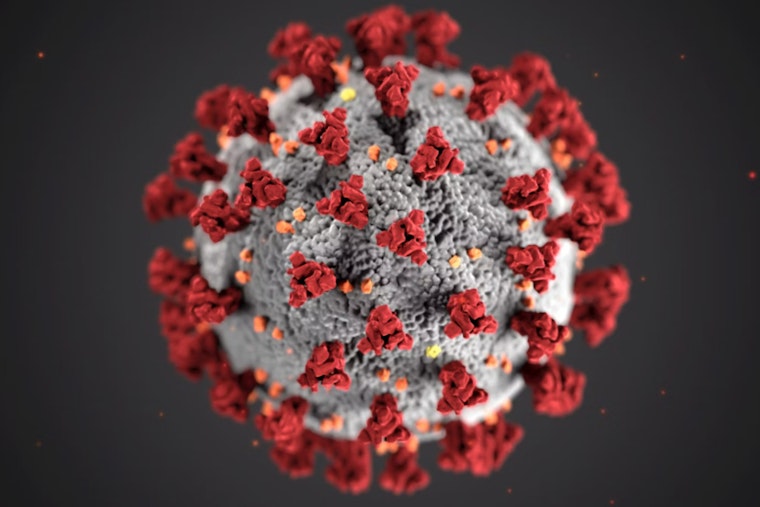Measles Case Confirmed in West Sacramento Resident, Yolo County Public Health Raises Alert Amidst Rising California Infections