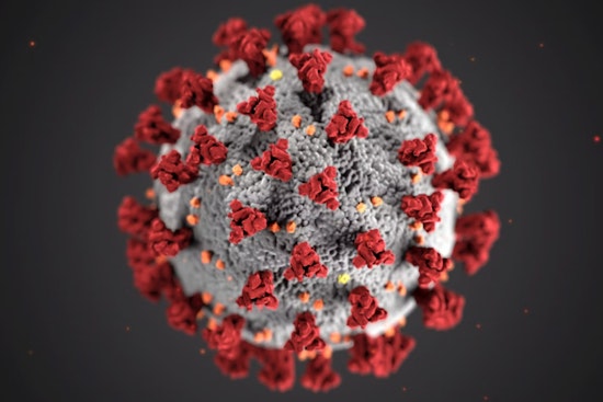 Measles Case Confirmed in West Sacramento Resident, Yolo County Public Health Raises Alert Amidst Rising California Infections