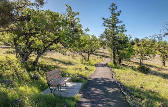 Medford Embraces Outdoor Education with New TRACK Trail for Kids at Prescott Park Set to Open in June