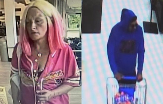 Memphis Police Probe Spate of Shoplifting Crimes Costing Businesses Thousands