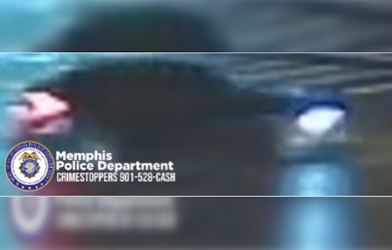 Memphis Police Seek Hit-and-Run Suspect After Pedestrian Fatality at Sycamore View and Shelby Oaks