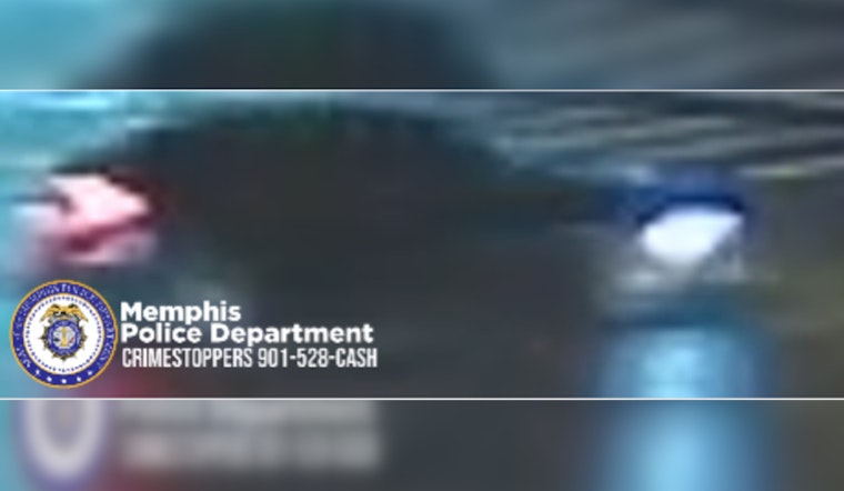 Memphis Police Seek Hit-and-Run Suspect After Pedestrian Fatality at Sycamore View and Shelby Oaks