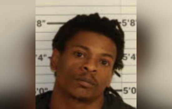 Memphis Police Seek Public's Help to Apprehend Felony Suspect Accused of Theft and Vandalism
