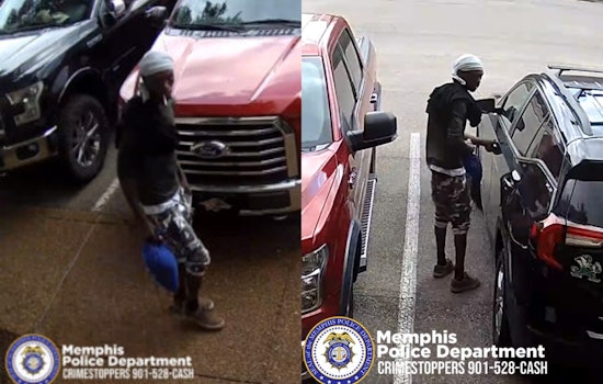 Memphis Police Seek Public's Help to Identify Suspect in North Shelby Oaks Drive Auto Theft