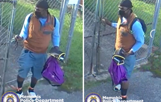 Memphis Residents on Alert After Auto Burglary on Oak Street, Police Seek Suspect