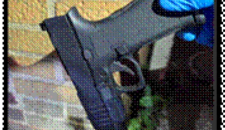 Metropolitan Police Recover 53 Illegal Firearms in Effort to Quell Gun Violence in Washington D.C.