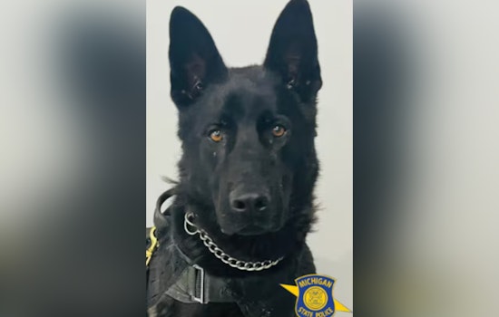 Michigan State Police K-9 Thor Recovers After Suspected Poison Ingestion During Lapeer County Break-In Investigation