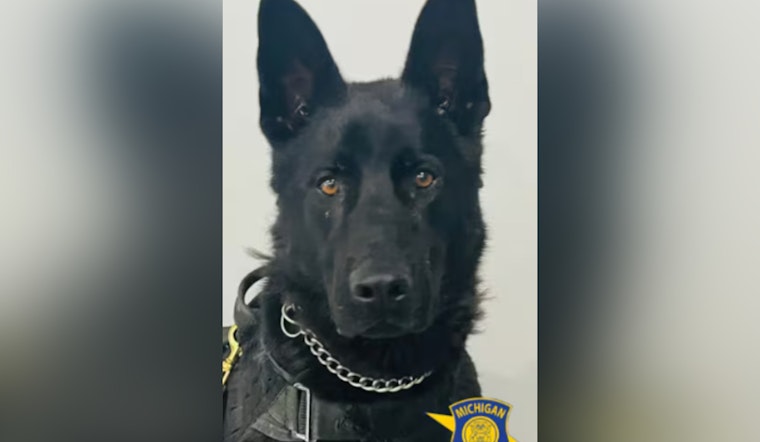 Michigan State Police K-9 Thor Recovers After Suspected Poison Ingestion During Lapeer County Break-In Investigation