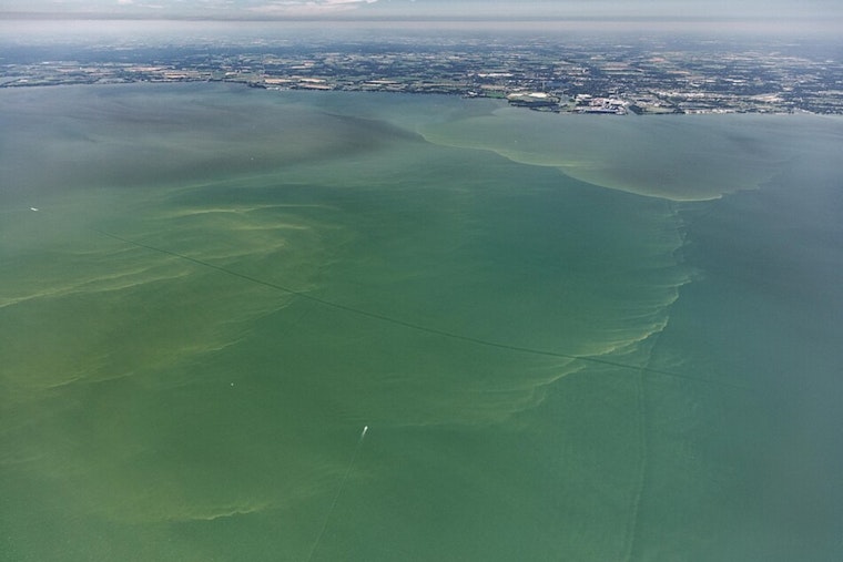 "Mild to Moderate" Algal Bloom Expected in Western Lake Erie, Forecasted by NOAA and Ohio Experts