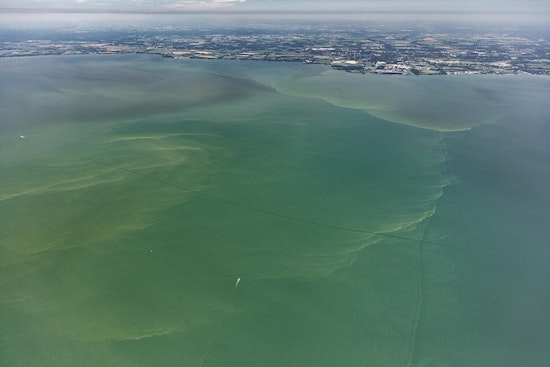 "Mild to Moderate" Algal Bloom Expected in Western Lake Erie, Forecasted by NOAA and Ohio Experts