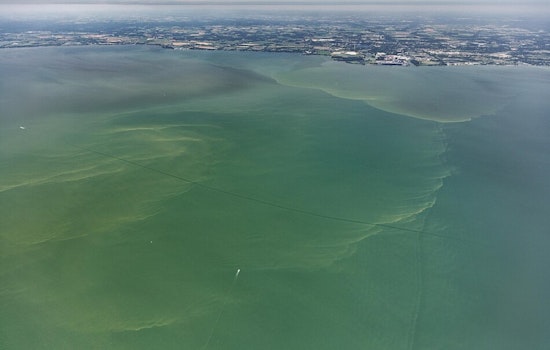"Mild to Moderate" Algal Bloom Expected in Western Lake Erie, Forecasted by NOAA and Ohio Experts