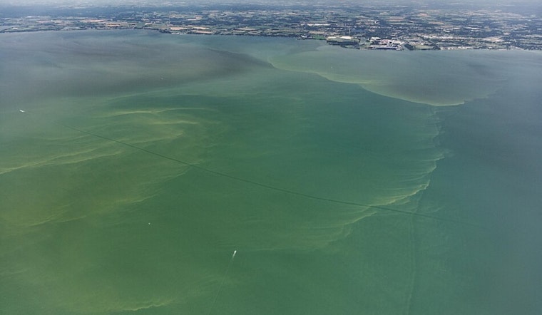 "Mild to Moderate" Algal Bloom Expected in Western Lake Erie, Forecasted by NOAA and Ohio Experts