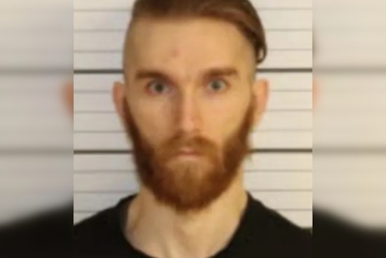 Millington Man Arrested and Charged with Animal Abuse for Alleged Sexual Acts with Dog
