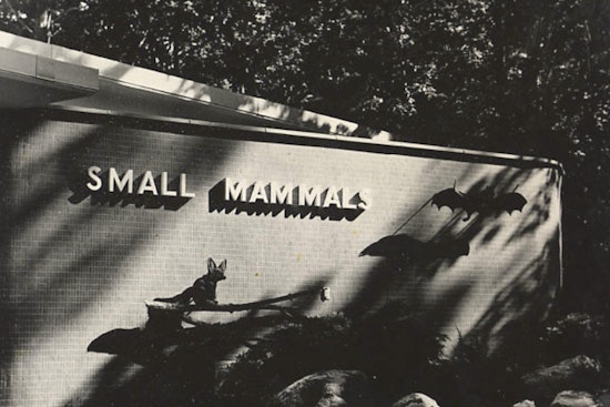 Milwaukee County Zoo to Close Iconic Small Mammals Building, Elevating Animal Care Standards
