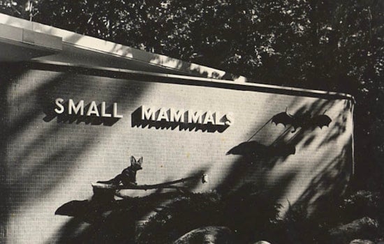Milwaukee County Zoo to Close Iconic Small Mammals Building, Elevating Animal Care Standards