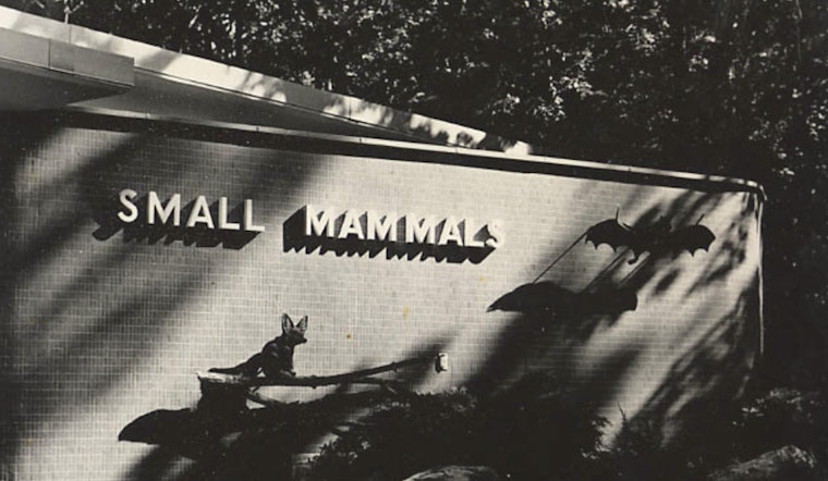 Milwaukee County Zoo to Close Iconic Small Mammals Building, Elevating Animal Care Standards