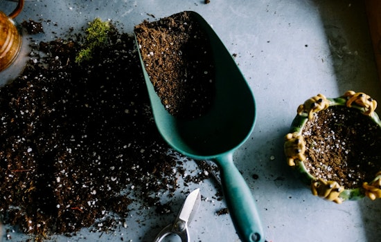 Minneapolis Embraces Urban Agriculture, Launches Food Waste Reduction Initiatives