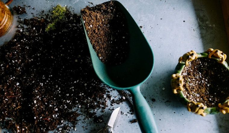 Minneapolis Embraces Urban Agriculture, Launches Food Waste Reduction Initiatives