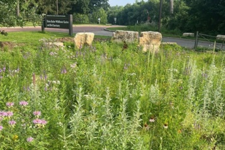 Minneapolis Park and Recreation Board Launches Summer Programs Focused on Nature Education and Conservation